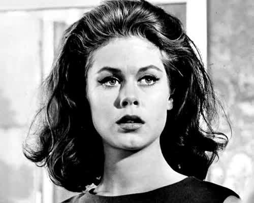 Elizabeth Montgomery