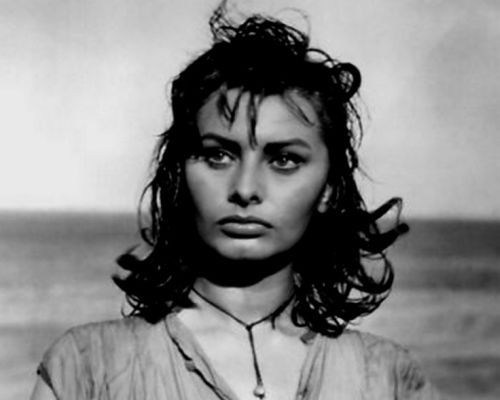 Sophia Loren